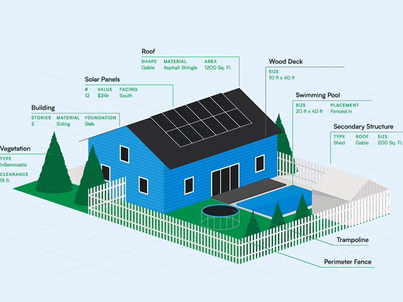 Residential Property Illustration Animation animation branding illustration web design