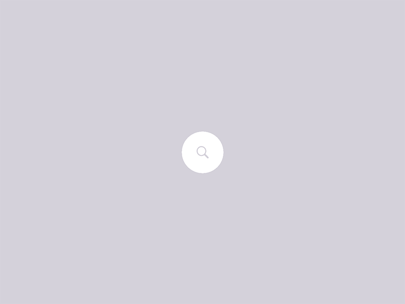 Search – Daily UI #022 animation dailyui field search ui
