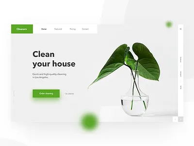 Daily UI main page cleaning home clean cleaner cleaning daily green webdesign