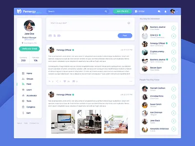 Women’s Business Network and Accelerator branding business cryptocurrency feed mentalstack network profile social ui ux women