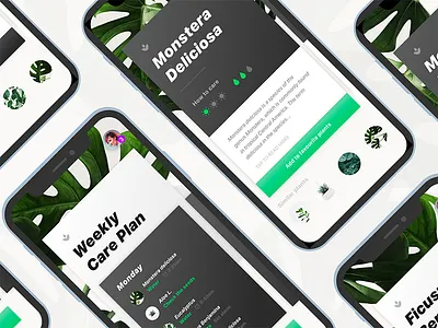 For All Plant Lovers 🌿 black cards flowers green plants schedule tasks white