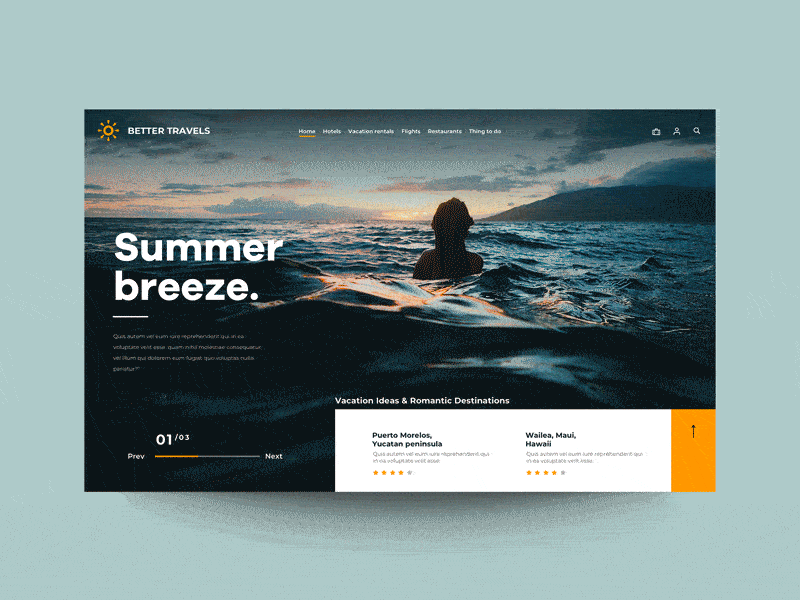 Daily UI "Travel Agency mockup animation" animation design interaction interface motion principle travel ui ux