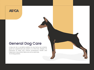 ASPCA dog drawing illustration page ui web