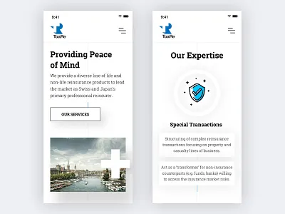 ToaRe Swiss branch website clean minimalistic responsive website white