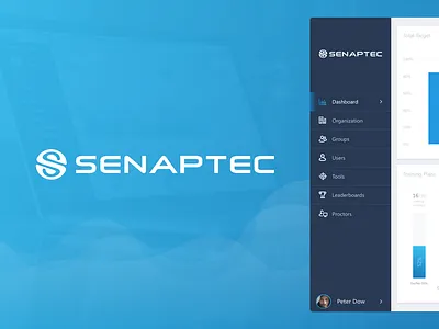 Senaptec Dashboard dashboard graphics