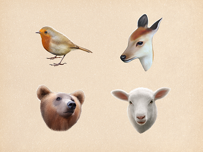 Animal Drawing animal bear bird deer drawing hair illustration lovely painting pencil sandor sheep