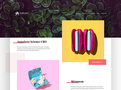 Blog Website Exploration blog brand business color event marketing minimal product read ui ux website