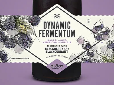 DF Blackberry & Blackcurrant beer blackberry blackcurrant illustration label sour