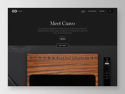 Caavo Marketing Page contrast editorial marketing product text title typography ui visual design