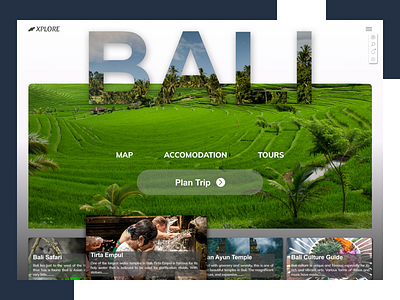 Trip Planner Web Design dashboard tour tourism travel traveldashboard trip ui