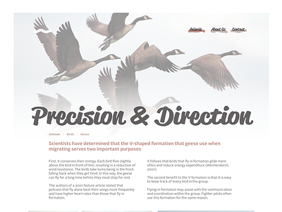 Header and split column content banner header layout page