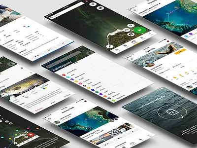 ANGLR Labs Mobile App android design ios mobile product product design ui ux