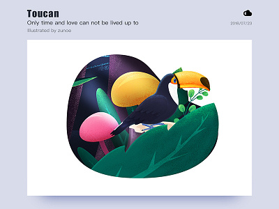 Toucan