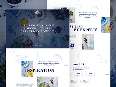 Landing Page design gin homepage landing page navigation ui ux web website