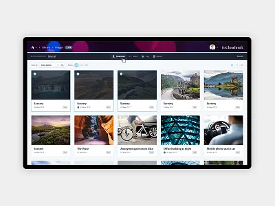 Bulk selection assets bulk action bulk selection dam design digital digital asset management grid listing media ui user interface