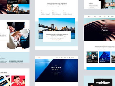 Proteus Template business cms template webflow