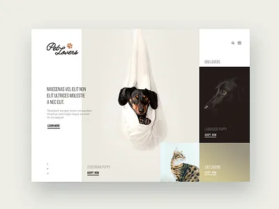 Puppies, Puppies, Puppies! Adopt a dog. adopt clean design dog images landingpage puppies ui ux website