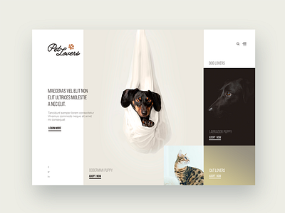 Puppies, Puppies, Puppies! Adopt a dog. adopt clean design dog images landingpage puppies ui ux website