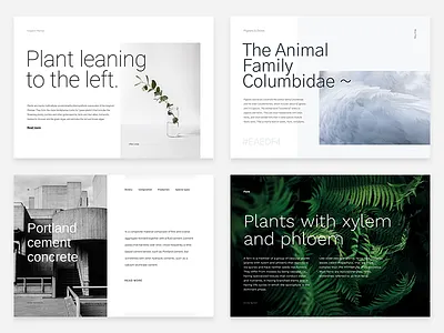 Helvetica alternatives alternative fonts google fonts helvetica layout minimal typehound unsplash