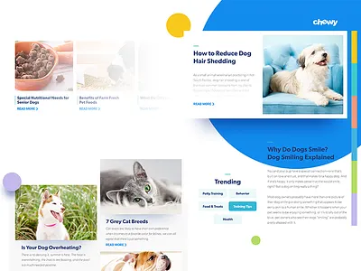 Blog Moodboard blog bright cards cat dog minimal modern mood board pet setup ui ux