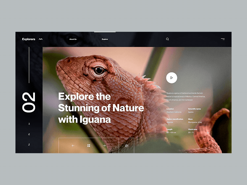 Dark or Light? dark mode explorer galerry light mode minimal nature night mode simple slide travel white wild