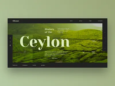 Ceylon history and travel ceylon dark design green grid history tea travel ui ux yellow