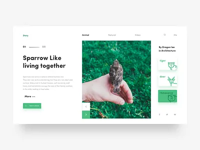 Sparrow Like Living Sparrow