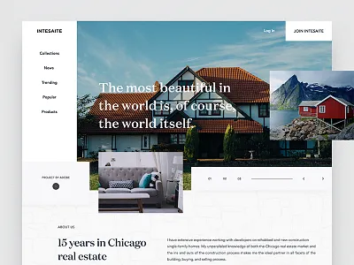 Conceptual Web Layout 02 minimal ui ux web design web layout