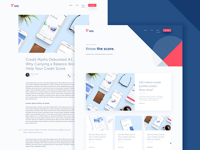 Tally Blog article blog content geometric graphic growth hero marketing