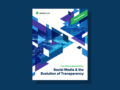 Brands Get Real Data Report data geometric layout report social media transparency type and image