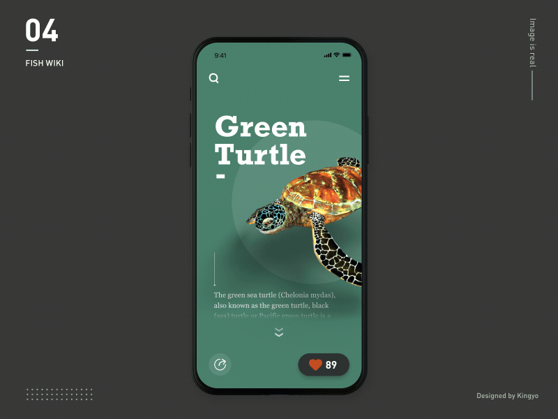 Fish Wiki 04