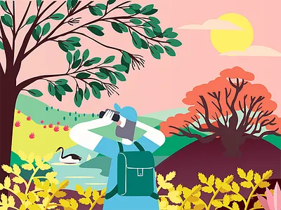 Colorful world among trees birds colour environment exploration illustration sunset survival