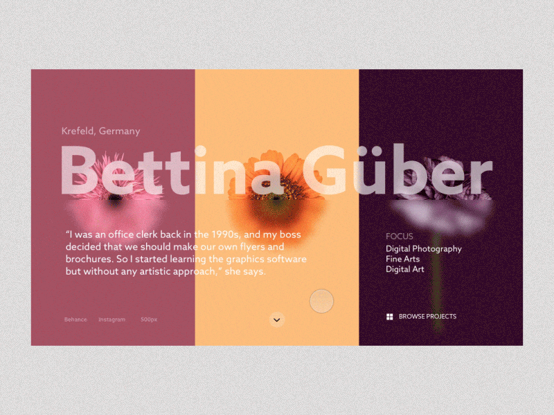 Portfolio Website Interaction animation clean interaction layouts minimal photography portfolio typography ui user experience design user interface design ux website