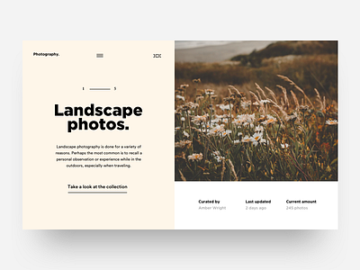Photography Mini Site design landing nature photography ui ux