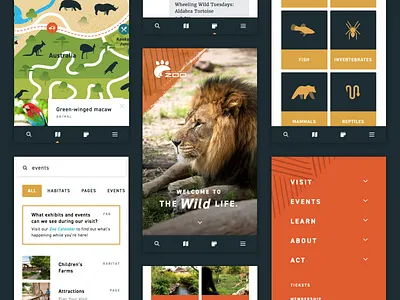 Zoo Mobile Website interactive map mobile responsive ui ux web website zoo
