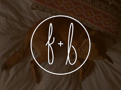 Fox & Bear Den bear branding custom design custom logo dog etsy font fox handmade logo handmadefont henri logo logos type typeography
