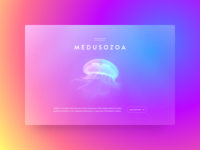 Jellyfush app blue design interface mobile typography ui ux
