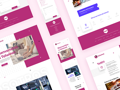 Telwinet website argentina internet isp modern service web webdesign website