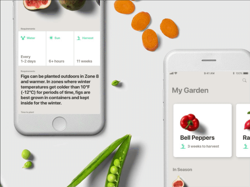 Gardening App MadeWithXD design ios iphone minimal typography ui