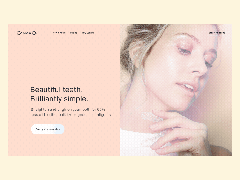 Candid Co Concept animation candid design interactive motion toyfight ui ux website