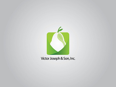 Victorjoseph Company logo brandidentity design illustration logo logo design