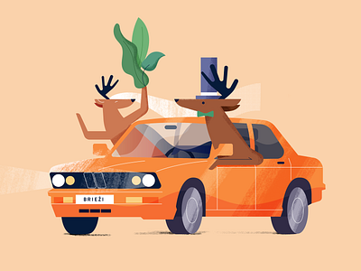 Wedding Rally bmw car deers flat grain leafs love texture weddings