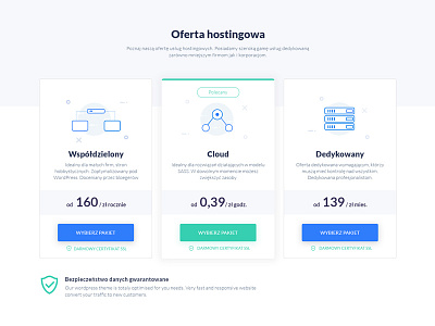 Hosting company - pricing plans cloud hosting icons pricing plans server servers ui