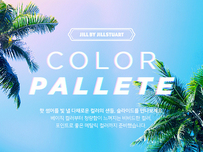 color pallete design gif promotion web web design website