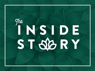 Inside Story Logo health logo mark wellness