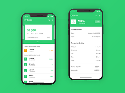 iOS Finance App - Main Screen & Info app class credit design education green illustration iphone mobile typography ui user interface