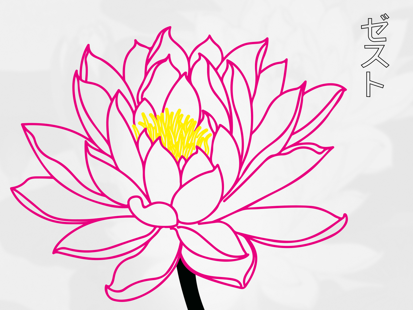 Example of ZEST - LOTUS - Apparel's visual - JPN collection