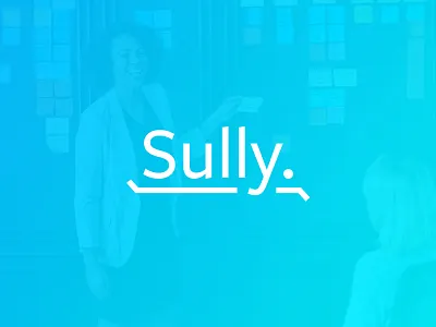Sully - Your Money Saving Pal. app brand branding design finance fintech graphic identity illustration logo mark mobile tech tech company typography wip