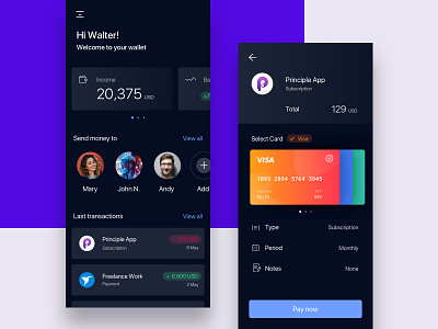 Checkout Concept app checkout credit card mobile pay principle sketch ui visa wallet