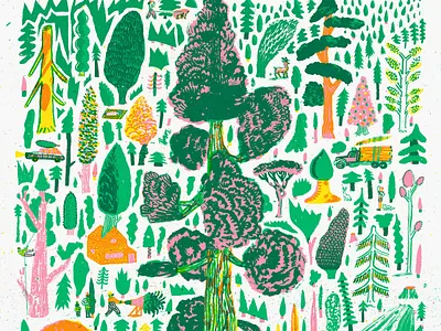 Coniferous botanical coniferous forest illustration nature nicholasstevenson screenprint trees woodland